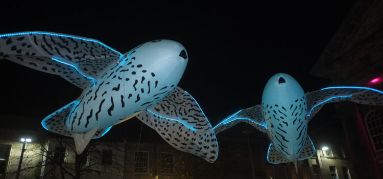 An image from Light Up Lancaster